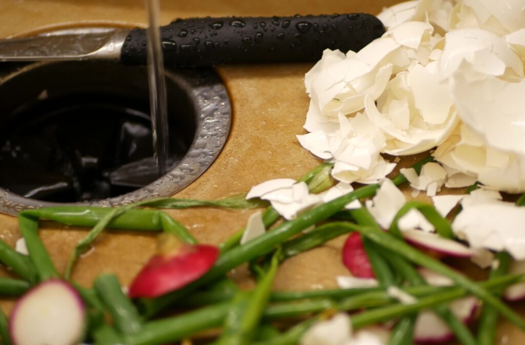Food Items That Damage Garbage Disposals in Humble 1 garbage disposal