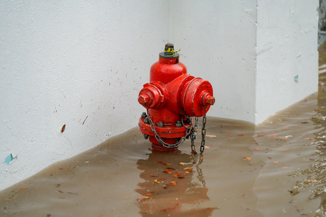 emergency plumbing richmond